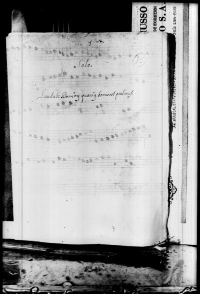 Miniatura de Anónimo - Laudate Dominum quoniam