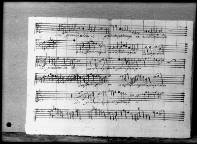 Miniatura de Anónimo - Luego no es clavel