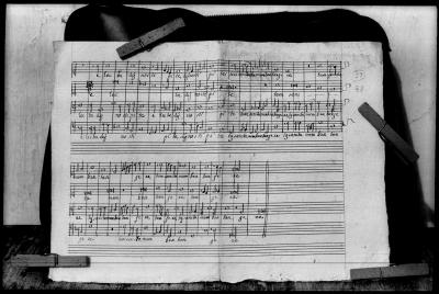 Miniatura de Anónimo - Crux fidelis