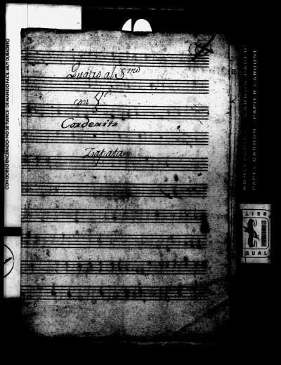 Miniatura de Esteban Zapata - Corderito