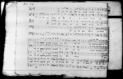 Miniatura de Melchor Tapia - Motetes