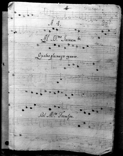 Miniatura de Tomás de Torrejón y Velasco - Quatro plumajes airosos