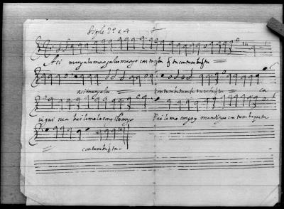 Miniatura de Anónimo - Caia guinea bailamolo