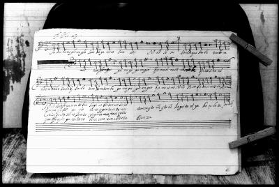 Miniatura de Anónimo - Turulu negro samboya rico