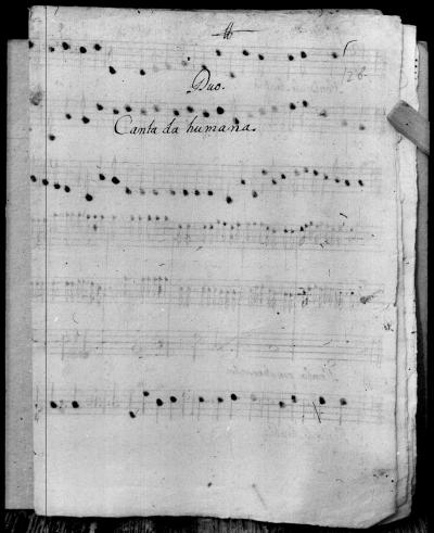 Miniatura de Anónimo - Fenix de Arabia