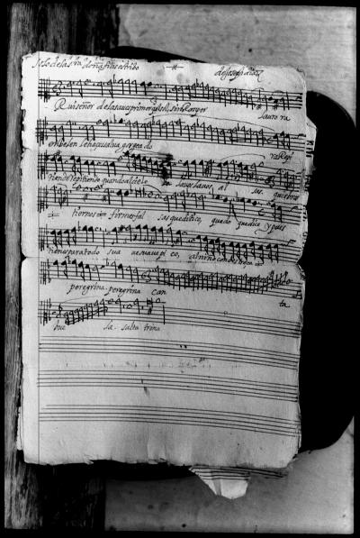 Miniatura de Juan Díaz - Ruiseñor de las aves